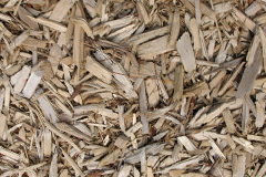 biomass boilers Rableyheath